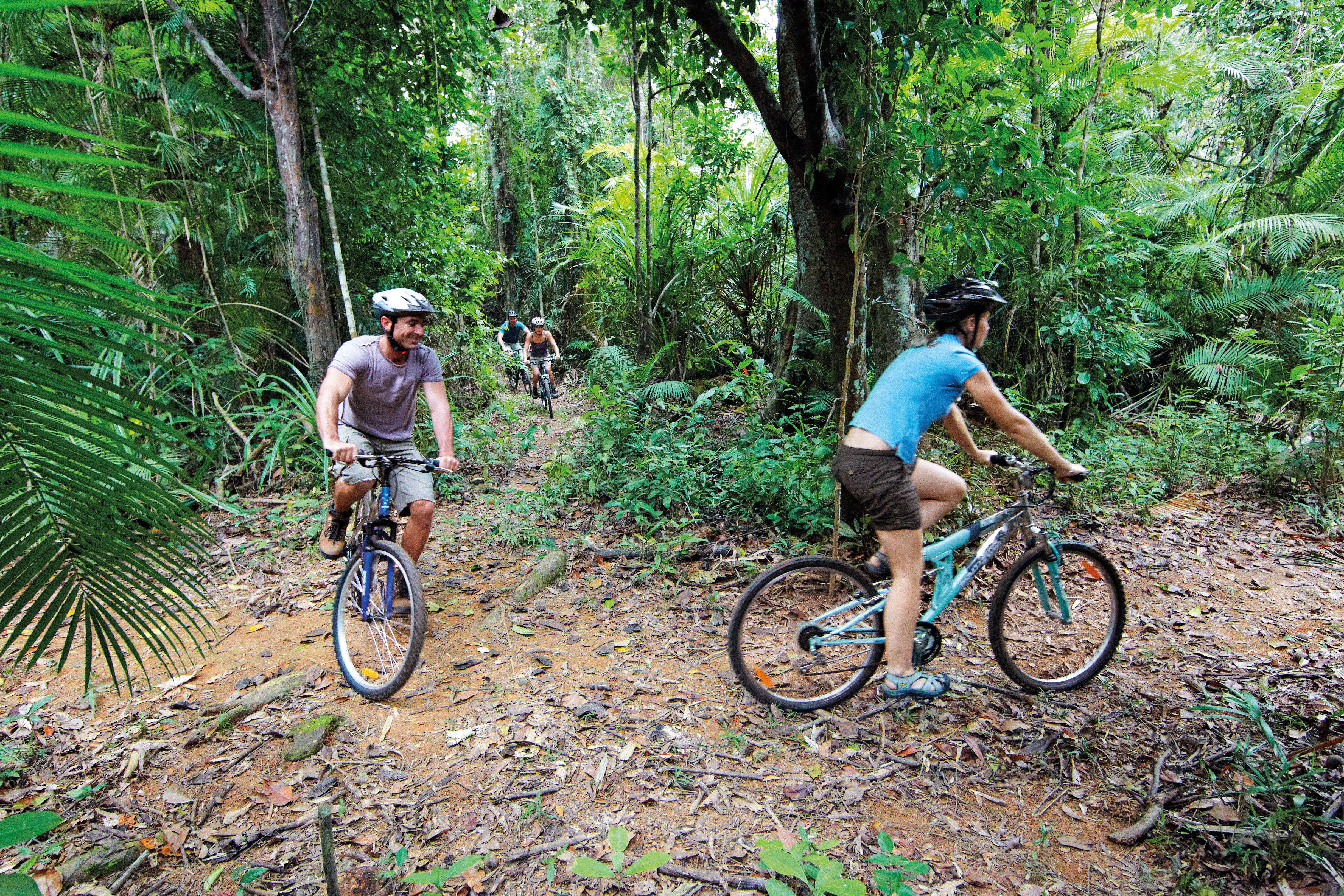Mountain Biking through the rainforest