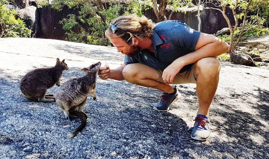 Close encounter with some rock wallabies
