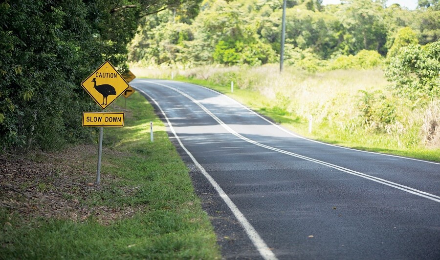 Cassowary Road Signs