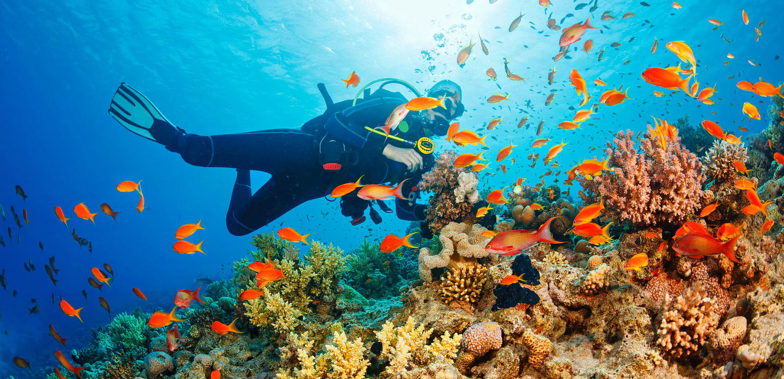 What to expect on your first scuba diving adventure?