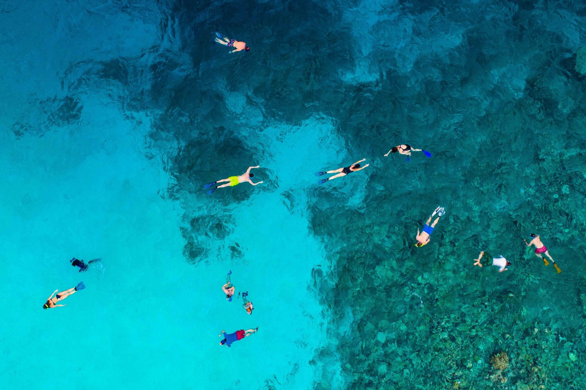 Can you swim on the Great Barrier Reef?