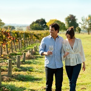DISCOVER THE YARRA VALLEY WINE TOUR