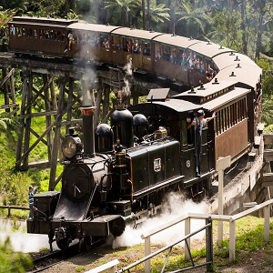 PUFFING BILLY HALF DAY TOUR
