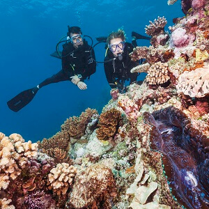 GREAT BARRIER REEF DIVING TOUR