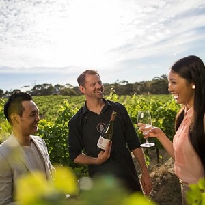 ADELAIDE HIGHLIGHTS WITH WINE TASTING & COAST TOUR