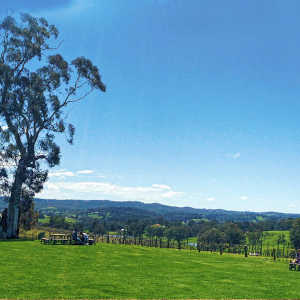 What is the Adelaide Hills known for?