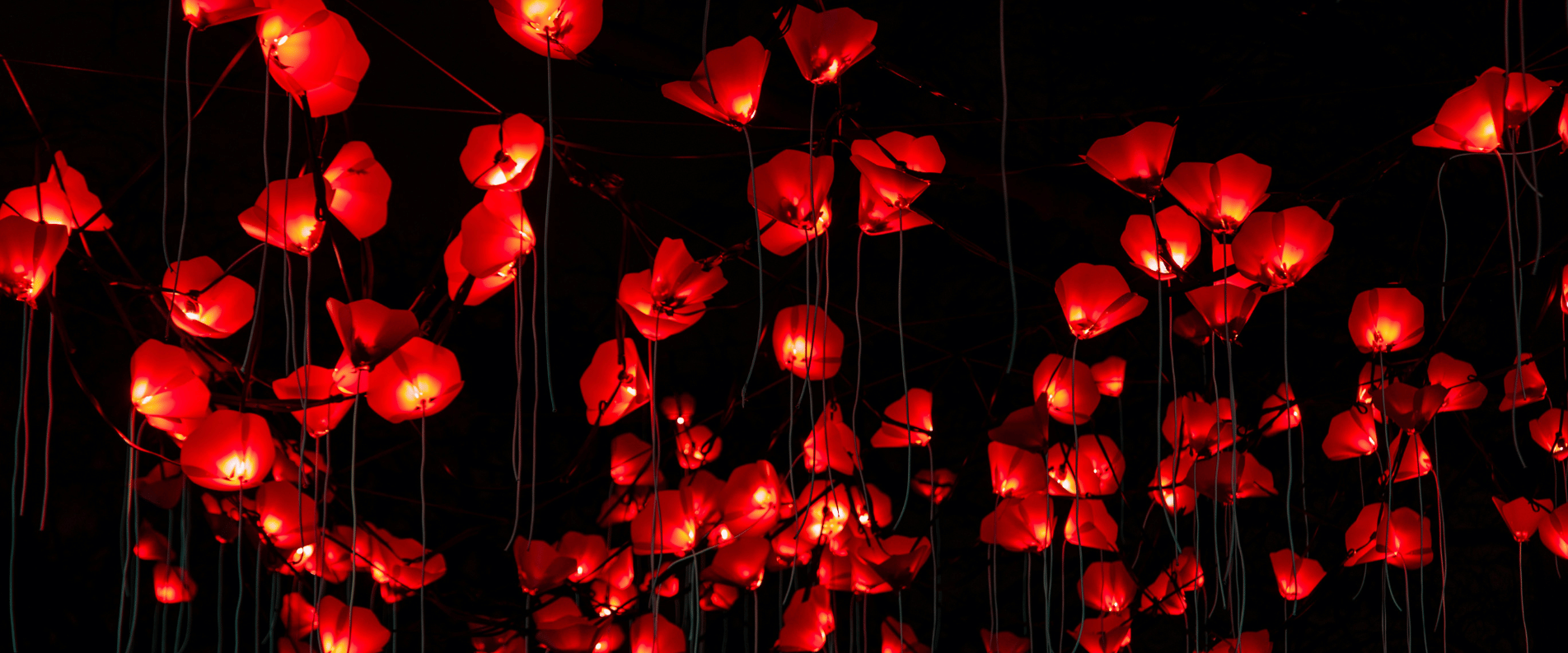 Light up your July in Melbourne