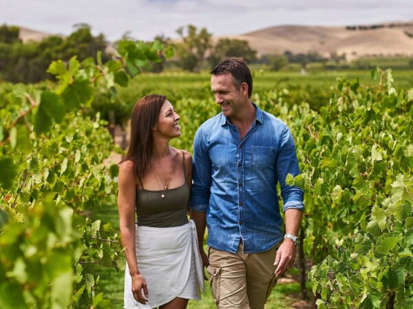 1 Day Barossa Valley Wine & Foodies Tour