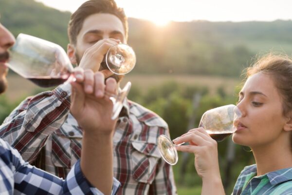 Hunter Valley Food & Wine Experience