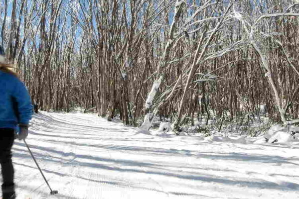 Lake Mountain Snow Tour Melbourne